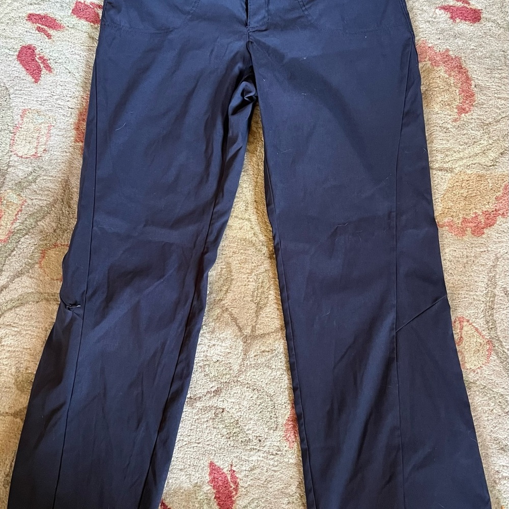 Athleta Dark Blue Hiking Pants